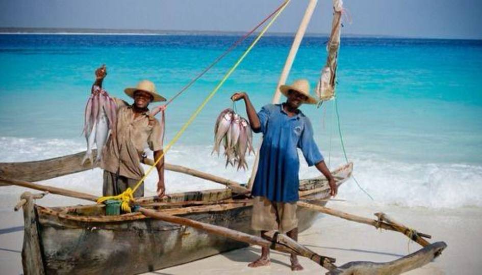 Deep Sea Fishing